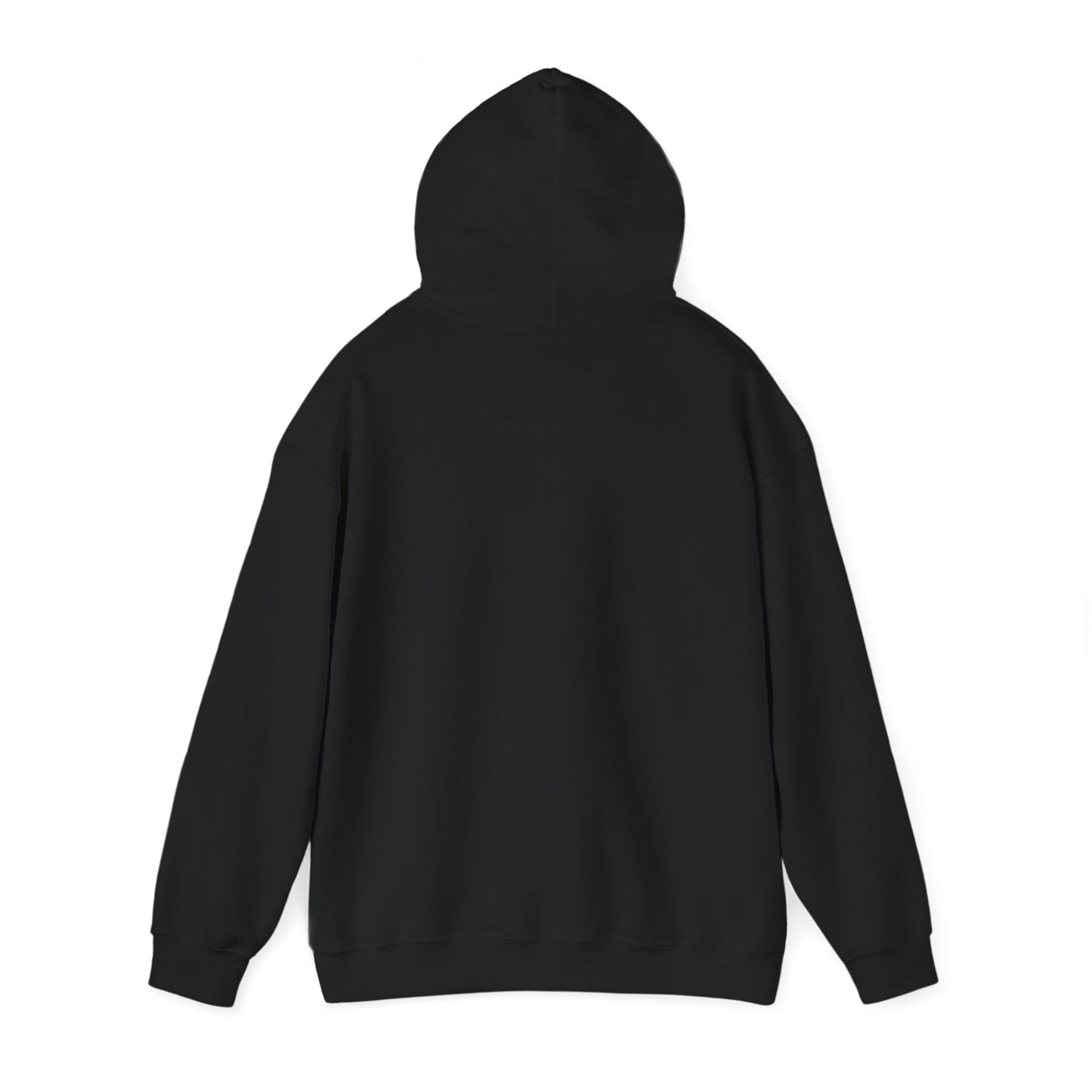 TrashnTalk Podcast Raccoon Hoodie, Cozy Sweatshirt, Gift for Podcast Lovers, Unisex Hooded Sweatshirt, Fun Merchandise