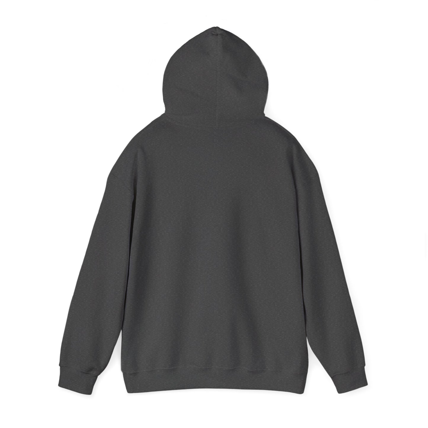 TrashnTalk Podcast Raccoon Hoodie, Cozy Sweatshirt, Gift for Podcast Lovers, Unisex Hooded Sweatshirt, Fun Merchandise