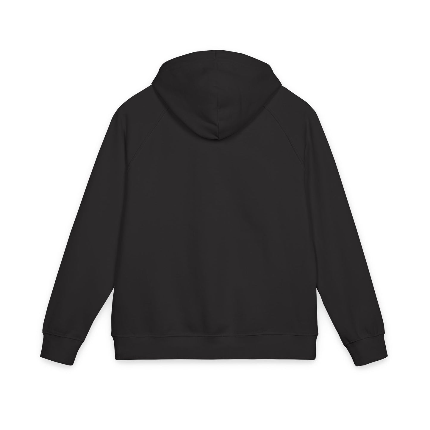 Eco-Friendly Embroidered Hoodie for Unisex, Casual Wear, Gifts for Him/Her, Sustainable Fashion, Earth Day
